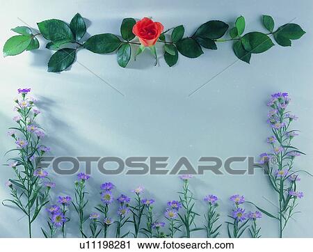 Stock Image - square, purple, plant, green, frame, oblong, nature. Fotosearch