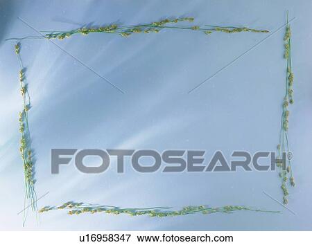 Stock Photo - square, yellow, background, leaf, nature, border. Fotosearch
