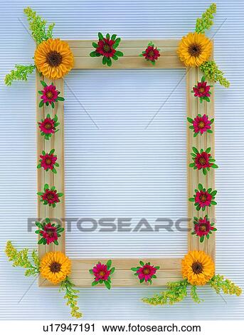 yellow, nature, background, square, red, sun flower View Large Photo Image Stock Image - yellow, nature, background, square, red, sun flower. Fotosearch