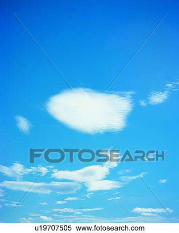 Stock Photography - Cluster, Fluffy, Blue, Outdoor. Fotosearch