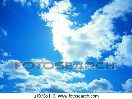 Cluster, Fluffy, Outdoor, Blue, Day, Natural Pattern, Nature View Large Photo Image Stock Image - Cluster, Fluffy, Outdoor, Blue, Day, Natural Pattern, Nature. Fotosearch