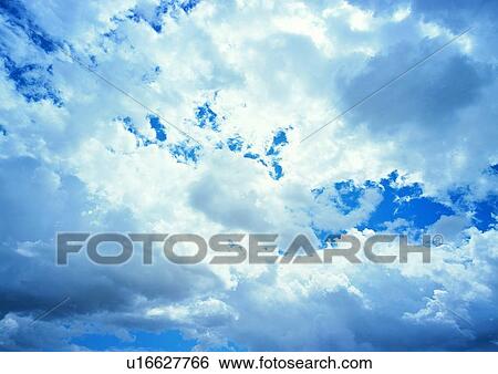 Cluster, Fluffy, Outdoor, Nature, Backgrounds, Natural Pattern View Large Photo Image Stock Photograph - Cluster, Fluffy, Outdoor, Nature, Backgrounds, Natural Pattern. Fotosearch