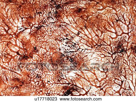 Stock Image - background, texture, grain, painting, pattern, brown. Fotosearch
