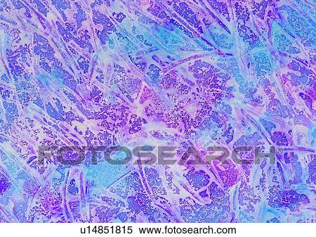 background, texture, grain, painting, pattern, purple View Large Photo Image Stock Photography - background, texture, grain, painting, pattern, purple. Fotosearch
