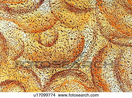 grain, round, circle, painting, pattern, background, yellow View Large Photo Image Picture - grain, round, circle, painting, pattern, background, yellow. Fotosearch