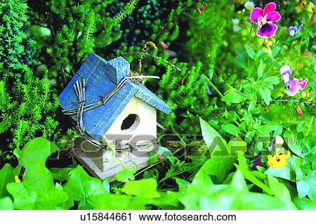 Stock Image - birdhouse, flower, plant, ivy, leaf. Fotosearch