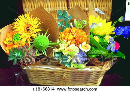 Picture - flower, blossom, plant, bunch, basket. Fotosearch