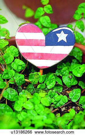 leaf, vine, heart, US symbol View Large Photo Image Stock Photograph - leaf, vine, heart, US symbol. Fotosearch