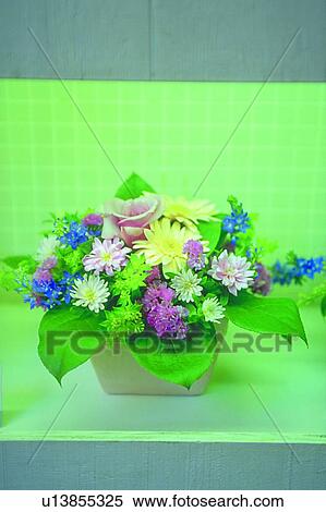 Stock Photography - plant, arrangement, blossom, flower. Fotosearch