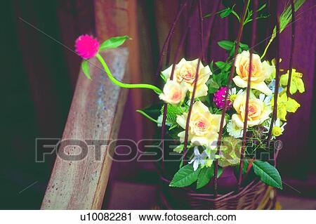 plant, cage, arrangement, flower, blossom, yellow View Large Photo Image Stock Image - plant, cage, arrangement, flower, blossom, yellow. Fotosearch