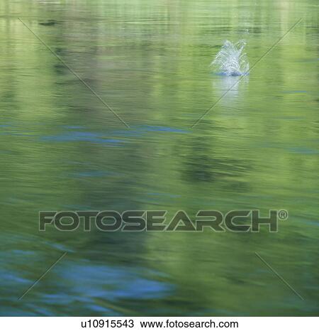 Stock Image - Water. Fotosearch