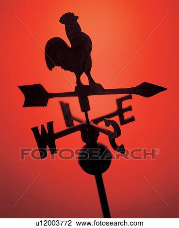 Stock Image - arrows, bird, angle. Fotosearch