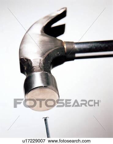 building, claw, close-up View Large Photo Image Stock Photo - building, claw, close-up. Fotosearch