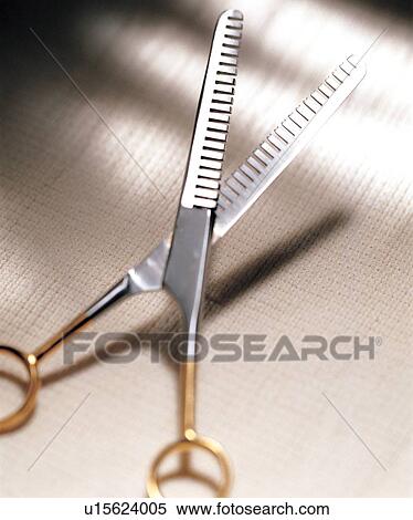 close-up, cut, cutting View Large Photo Image Stock Photography - close-up, cut, cutting. Fotosearch