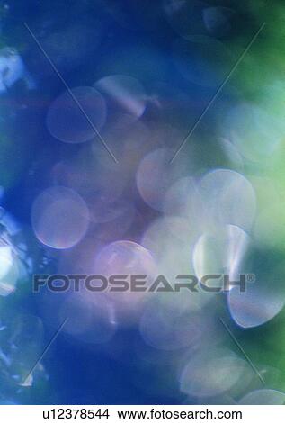 plant, sun light, shadow, blur View Large Photo Image Picture - plant, sun light, shadow, blur. Fotosearch