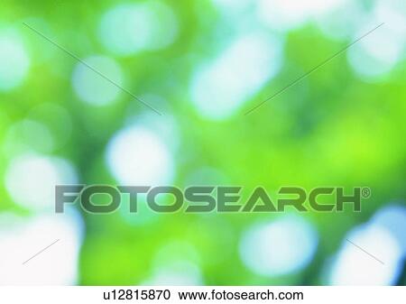 shadow, sun light, blur, plant View Large Photo Image Stock Image - shadow, sun light, blur, plant. Fotosearch