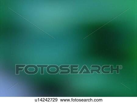 Stock Photo - shadow, sun light, blur, plant. Fotosearch