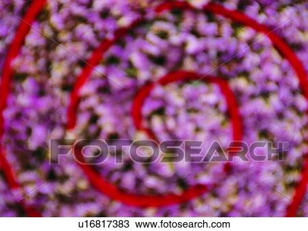 Stock Image - shadow, sun light, flower, circle, blur. Fotosearch