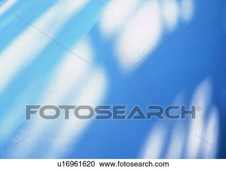 shadow, sun light, plant View Large Photo Image Stock Image - shadow, sun light, plant. Fotosearch