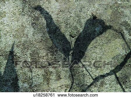 shadow, sun light, wall View Large Photo Image Stock Image - shadow, sun light, wall. Fotosearch