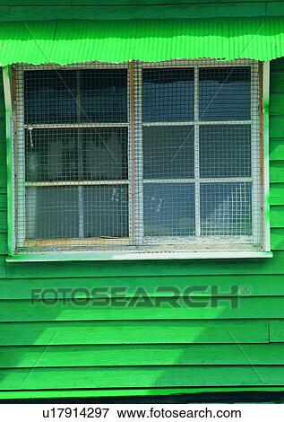 shadow, sun light, window, green View Large Photo Image Stock Photo - shadow, sun light, window, green. Fotosearch