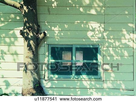shadow, wall, house, tree, window, sun light View Large Photo Image Stock Image - shadow, wall, house, tree, window, sun light. Fotosearch