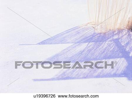 Stock Photograph - sun light, grass, ground, shadow. Fotosearch
