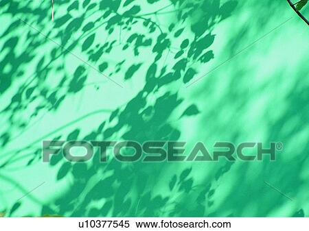 Stock Photography - sun light, shadow, wall, tree. Fotosearch