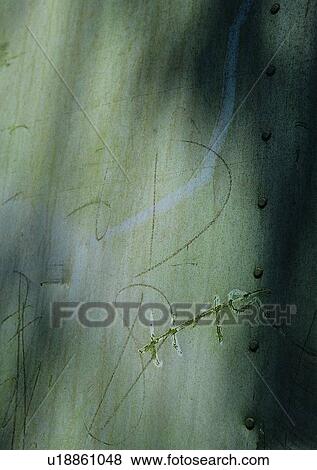 Stock Photo - sun light, wall, shadow. Fotosearch