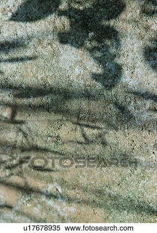 wall, sun light, shadow, tree View Large Photo Image Stock Photography - wall, sun light, shadow, tree. Fotosearch