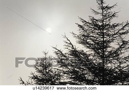 Stock Photo - Winter Sun. Fotosearch