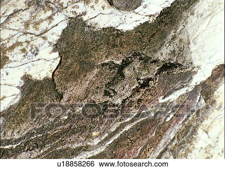 Stock Photograph - background, gray, rock, nature, stone. Fotosearch