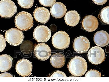 background, pearl, white, glass, crystal, nature View Large Photo Image Stock Photography - background, pearl, white, glass, crystal, nature. Fotosearch