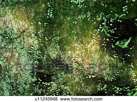 nature, background, grass, green, rock View Large Photo Image Stock Photo - nature, background, grass, green, rock. Fotosearch