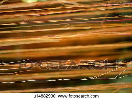 Stock Image - nature, background, plant, leaf, yellow. Fotosearch