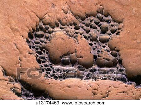 nature, background, rock, stone, brown View Large Photo Image Stock Photo - nature, background, rock, stone, brown. Fotosearch