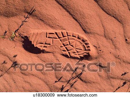 nature, background, rock, stone, footprint View Large Photo Image Stock Photo - nature, background, rock, stone, footprint. Fotosearch