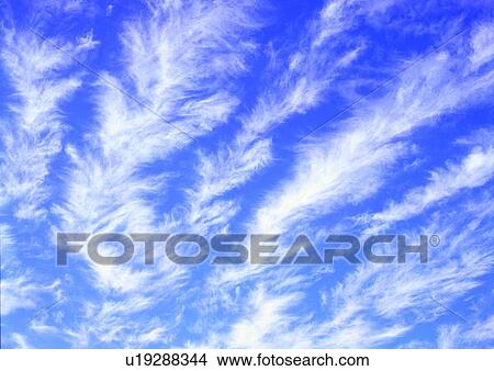 nature, background, sky, cloud, blue View Large Photo Image Picture - nature, background, sky, cloud, blue. Fotosearch