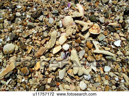 nature, background, stone, rock, sand View Large Photo Image Stock Image - nature, background, stone, rock, sand. Fotosearch