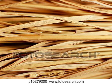 Stock Image - nature, grass, yellow, background, brown. Fotosearch