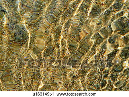 Stock Image - nature, stone, sand, rock, background, water. Fotosearch