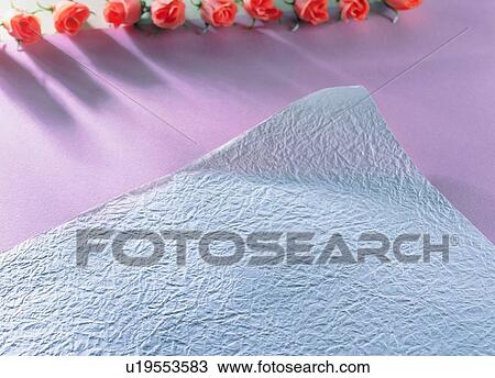 indoor, light, paper, material, rose, shadow View Large Photo Image Stock Image - indoor, light, paper, material, rose, shadow. Fotosearch