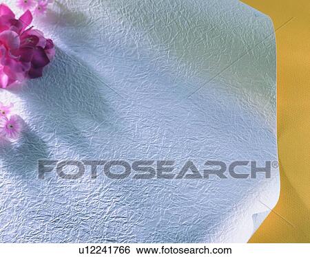 Stock Photograph - light, paper, material, indoor, artificial flower, shadow. Fotosearch