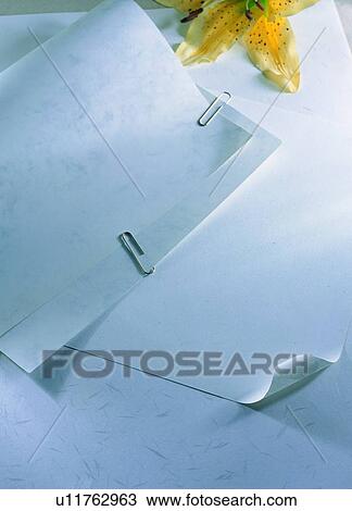 paper, paper clip, artificial flower, lily, light, shadow View Large Photo Image Stock Image - paper, paper clip, artificial flower, lily, light, shadow. Fotosearch