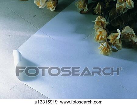 shadow, material, paper, light, artificial flower, indoor View Large Photo Image Stock Photo - shadow, material, paper, light, artificial flower, indoor. Fotosearch