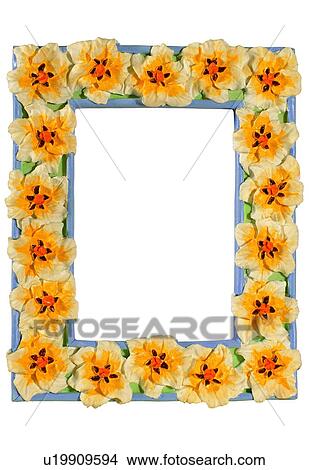 rim, frame, flower, yellow View Large Photo Image Picture - rim, frame, flower, yellow. Fotosearch