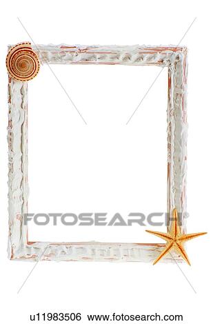 Stock Photograph - rim, frame, seashell, starfish, square. Fotosearch