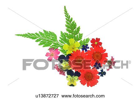 background, orange, yellow, plant, flower, pink, purple View Large Photo Image Stock Photo - background, orange, yellow, plant, flower, pink, purple. Fotosearch