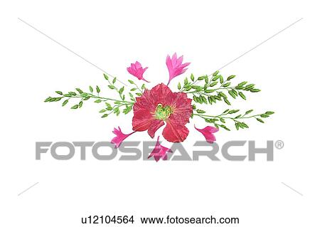 plant, flower, background, pink, green, leaf View Large Photo Image Picture - plant, flower, background, pink, green, leaf. Fotosearch