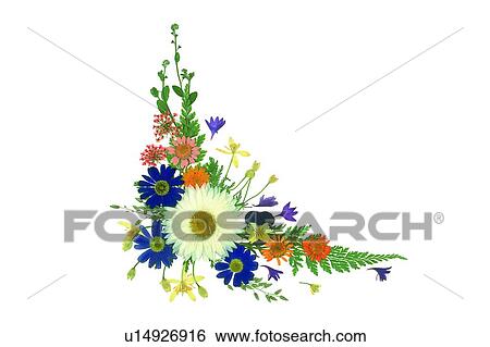 plant, flower, background, white, blue, yellow View Large Photo Image Stock Photograph - plant, flower, background, white, blue, yellow. Fotosearch